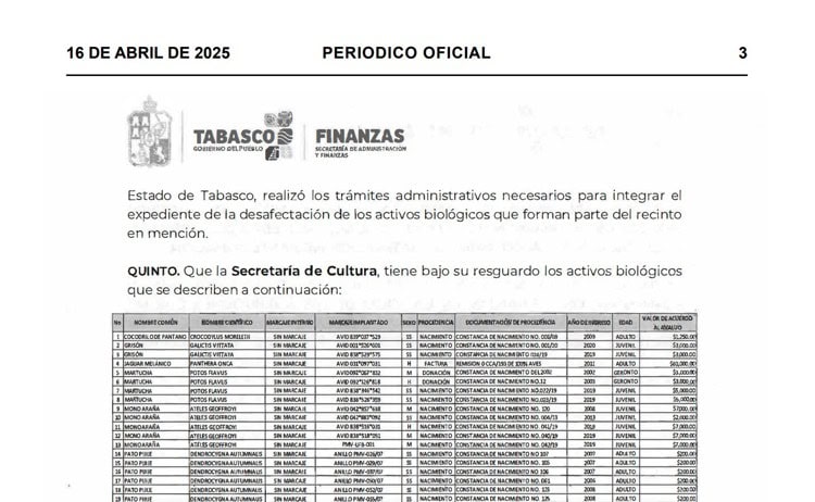 imagen-cuerpo imagen-cuerpo