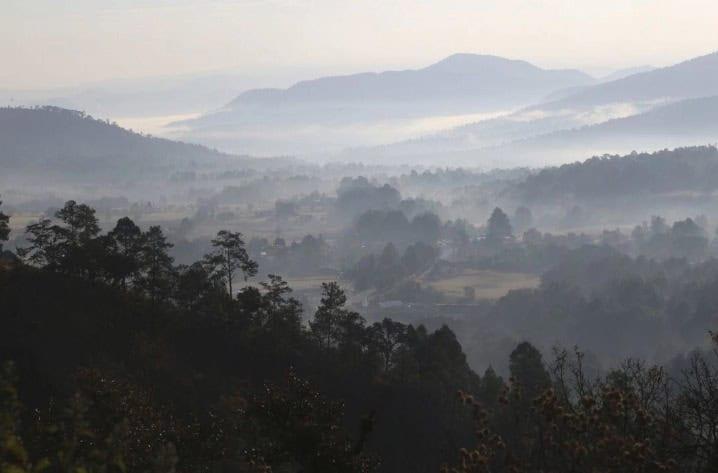 Reforestar&aacute; Michoac&aacute;n 50 mil hect&aacute;reas con m&aacute;s de 10 millones de &aacute;rboles