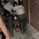 Ejecutan a hombre en ranchería Santana, Cárdenas