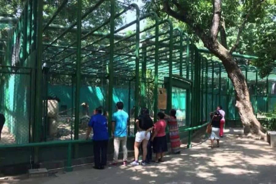 Se invertirán 22 mdp en rehabilitación del parque Museo La Venta: SOTOP
