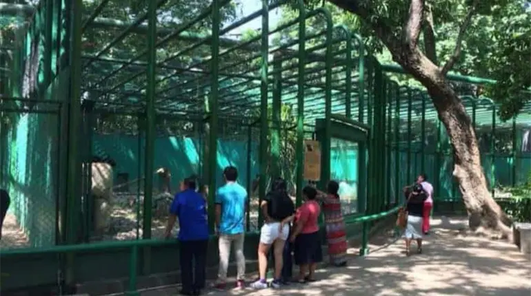 Se invertirán 22 mdp en rehabilitación del parque Museo La Venta: SOTOP