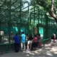 Se invertirán 22 mdp en rehabilitación del parque Museo La Venta: SOTOP