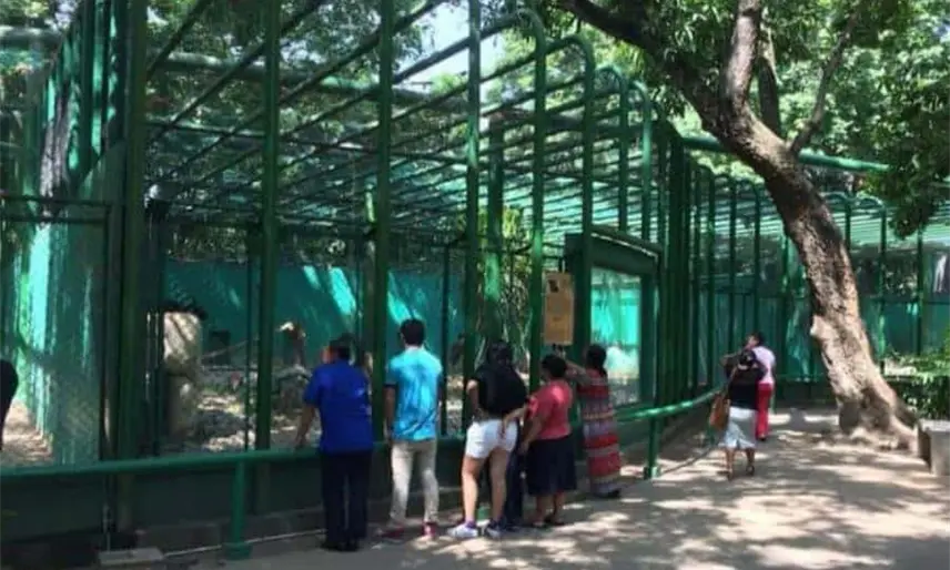 Se invertirán 22 mdp en rehabilitación del parque Museo La Venta: SOTOP