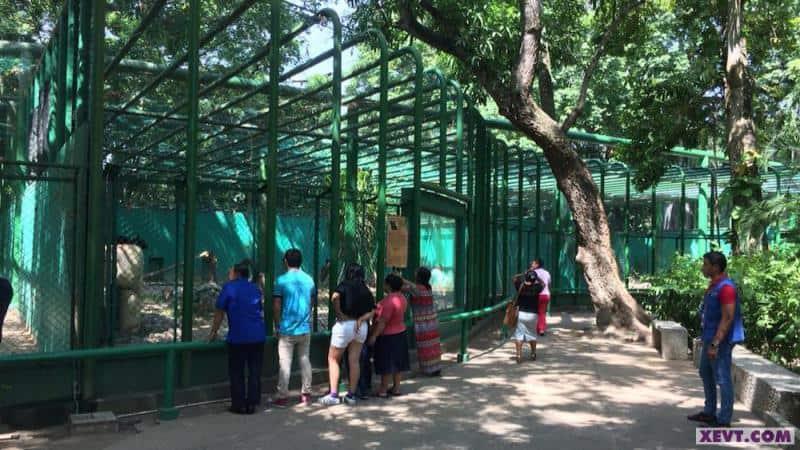 Descarta gobierno movilizar animales del parque Museo La Venta al Yumká Descarta gobierno movilizar animales del parque Museo La Venta al Yumká