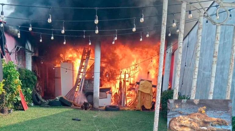 Muere perrito tras incendio de bodega en Aguasol, Cárdenas