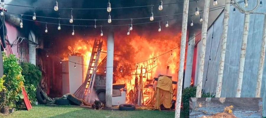 Muere perrito tras incendio de bodega en Aguasol, Cárdenas Muere perrito tras incendio de bodega en Aguasol, Cárdenas