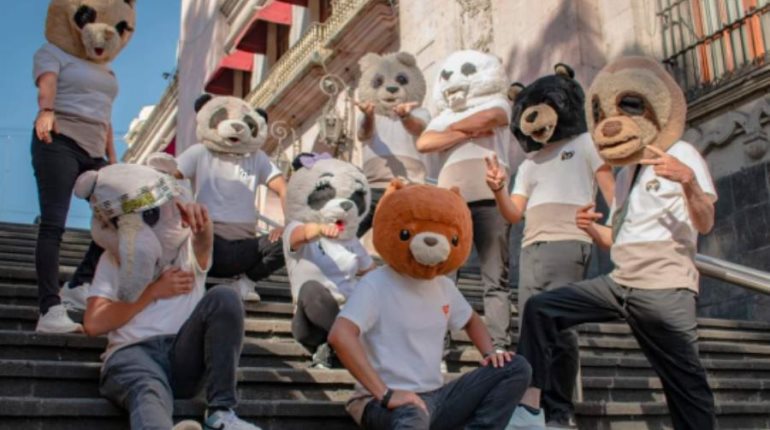 Asaltan y roban instrumentos del grupo musical veracruzano ´Los CumbiOsos´ en carretera de Puebla