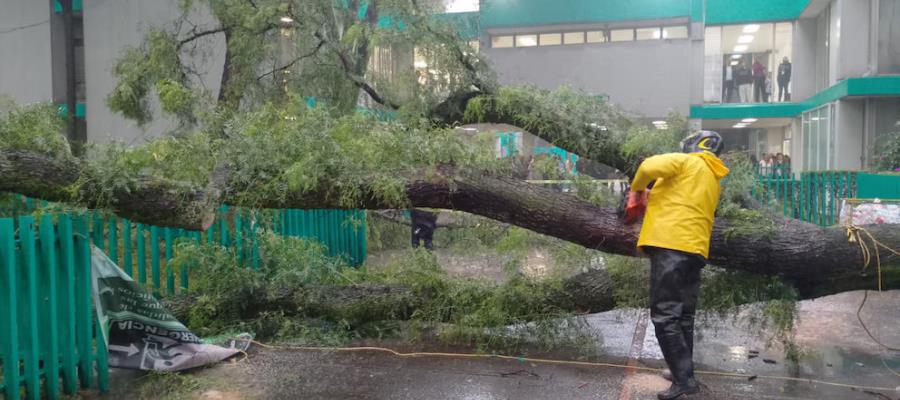 De nuevo la CDMX sufre de encharcamientos y árboles caídos por fuertes lluvias De nuevo la CDMX sufre de encharcamientos y árboles caídos por fuertes lluvias