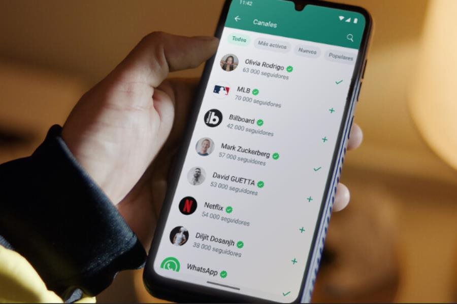 Añadirá Meta anuncios a WhatsApp; chats personales se salvarán de la actualización Añadirá Meta anuncios a WhatsApp; chats personales se salvarán de la actualización