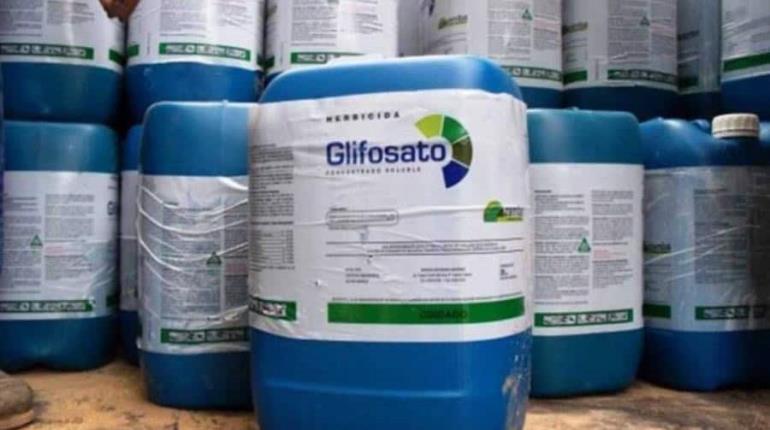 El glifosato, entre la lista de productos que prohibirá la Cofepris en México
