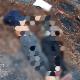 Tras enfrentamiento contra fuerzas armadas, 13 civiles armados fueron abatidos en Villanueva, Zacatecas
