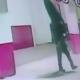 Cocodrilo devora a serpiente en el Tomás Garrido