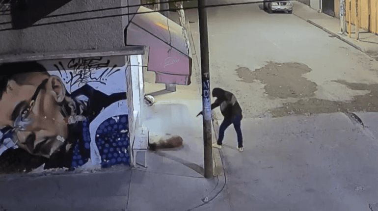 Elemento de la FGJEM mata a balazos a perrito en situación de calle en Edomex