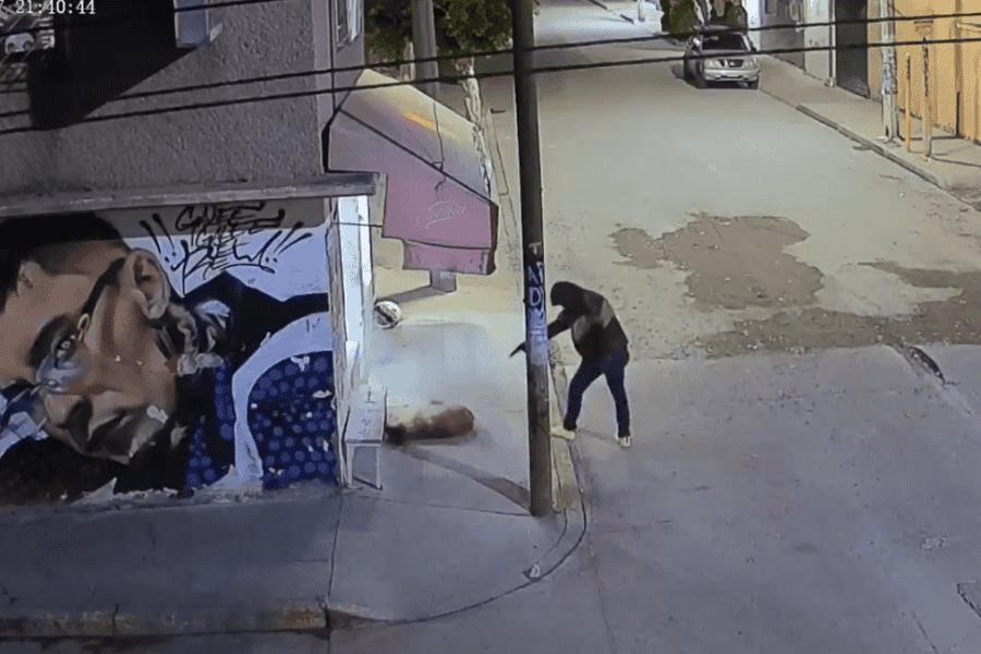 Elemento de la FGJEM mata a balazos a perrito en situación de calle en Edomex