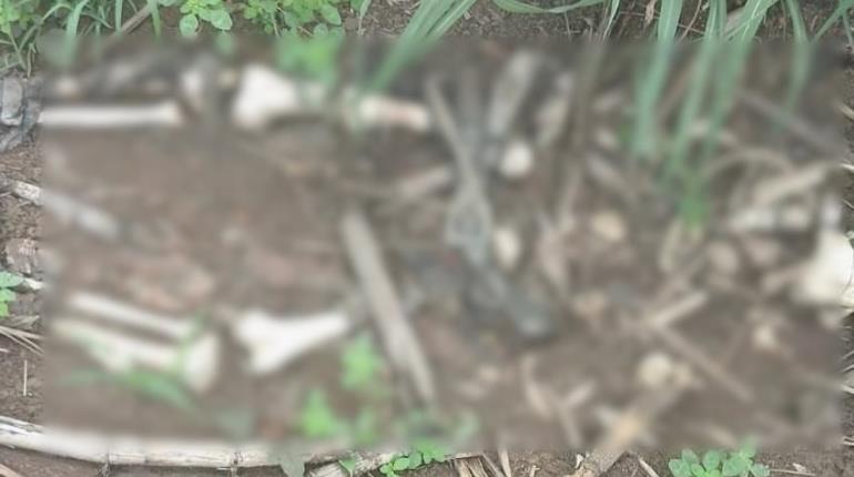 Hallan osamenta con prendas de vestir en poblado de Cárdenas
