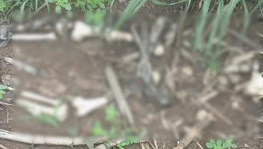 Hallan osamenta con prendas de vestir en poblado de Cárdenas Hallan osamenta con prendas de vestir en poblado de Cárdenas