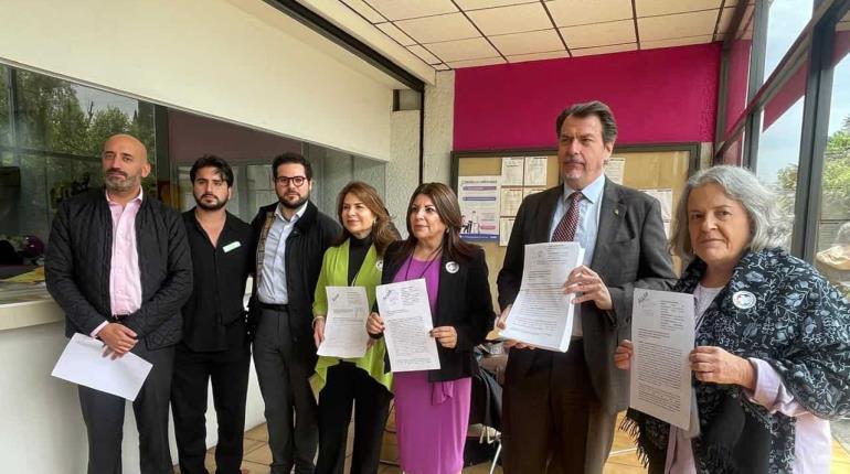 Organizaciones presentan 9 impugnaciones para anular la elección judicial