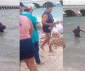 Saca del mar un tiburón martillo en Yucatán; lo devuelve tras presión de presentes