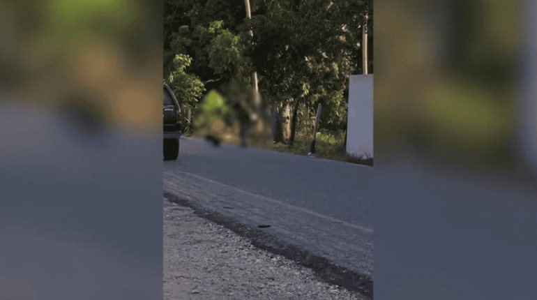 ¡Hombre estrella a un perro contra el pavimento!