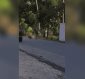 ¡Hombre estrella a un perro contra el pavimento!