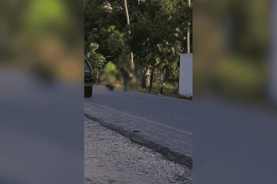 ¡Hombre estrella a un perro contra el pavimento! ¡Hombre estrella a un perro contra el pavimento!