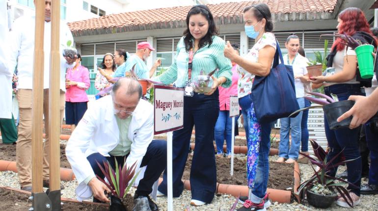 Inauguran huerto medicinal en el Hospital Juan Graham