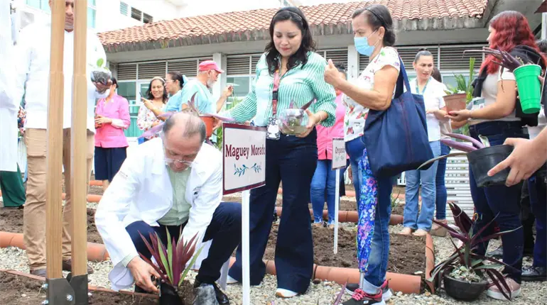Inauguran huerto medicinal en el Hospital Juan Graham