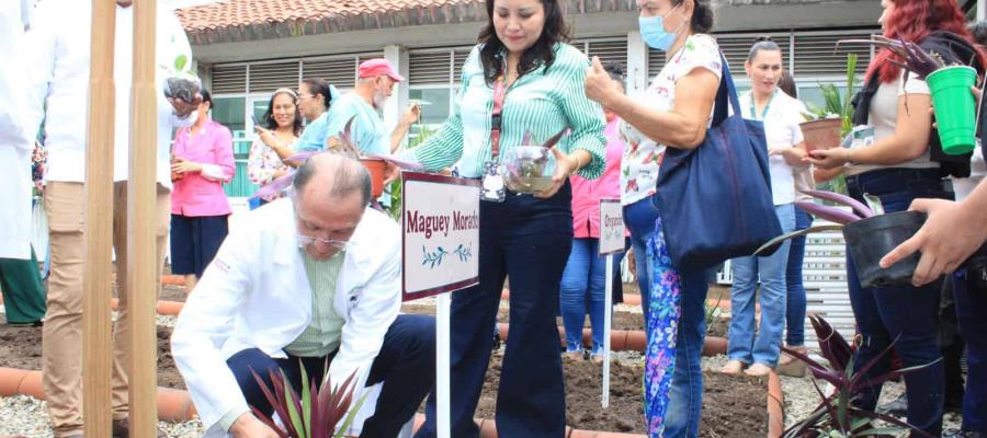 Inauguran huerto medicinal en el Hospital Juan Graham Inauguran huerto medicinal en el Hospital Juan Graham