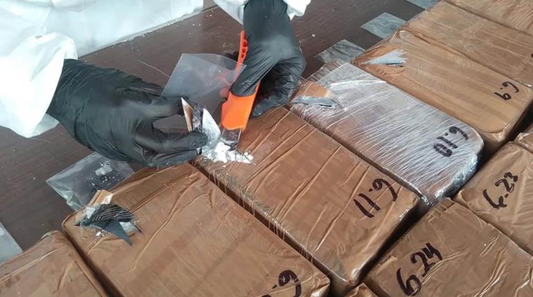 Aseguran 150 ladrillos de cocaína en el puerto de Lázaro Cárdenas, Michoacán