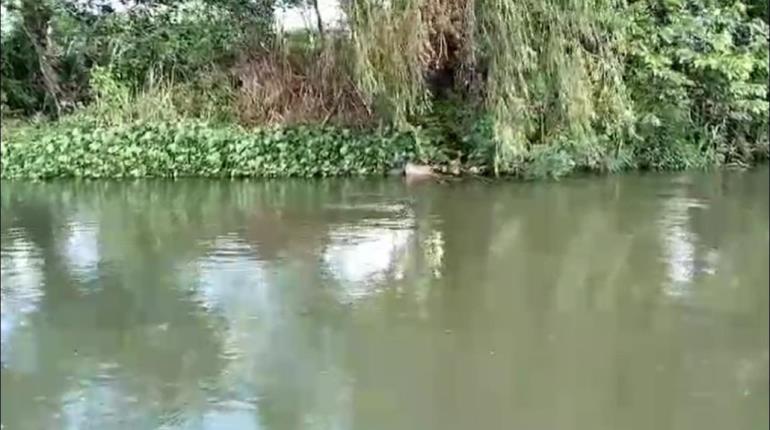 Pescadores hallan cuerpo flotando en el río Mezcalapa en Huimanguillo