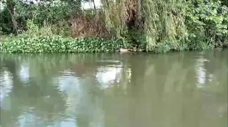 Pescadores hallan cuerpo flotando en el río Mezcalapa en Huimanguillo