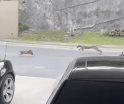 Captan a puma cazando a un gato en residencial de Nuevo León