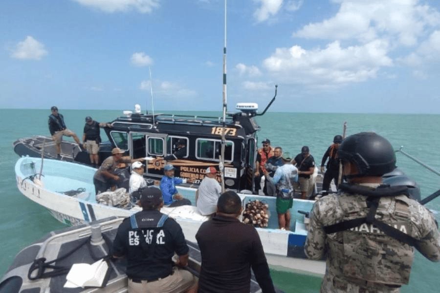 Aseguran 2 lanchas con especies en veda e instrumentos prohibidos para pesca en Yucatán Aseguran 2 lanchas con especies en veda e instrumentos prohibidos para pesca en Yucatán