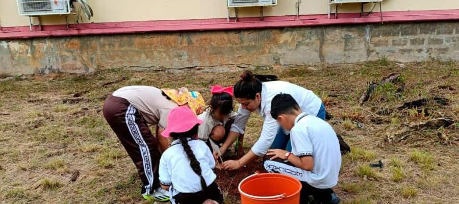 Inicia Conagua Tabasco programa de reforestación en periferia de la laguna de Las Ilusiones Inicia Conagua Tabasco programa de reforestación en periferia de la laguna de Las Ilusiones
