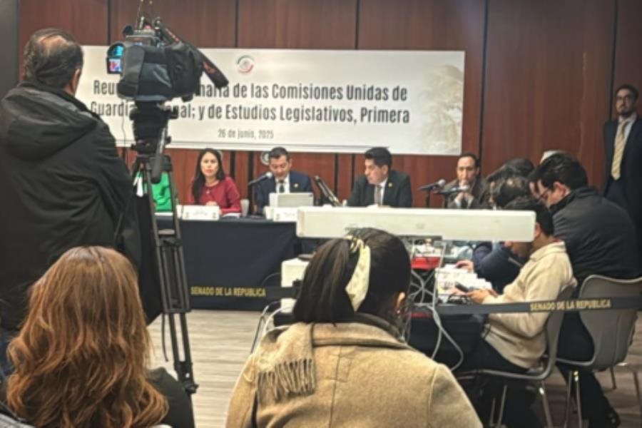 Comisión del Senado aprueba la Ley de la Guardia Nacional