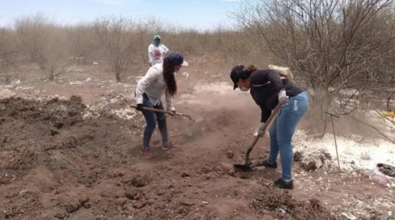 Hallan restos de 11 personas en 4 fosas clandestinas en Sonora