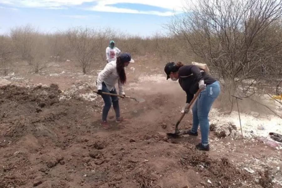 Hallan restos de 11 personas en 4 fosas clandestinas en Sonora
