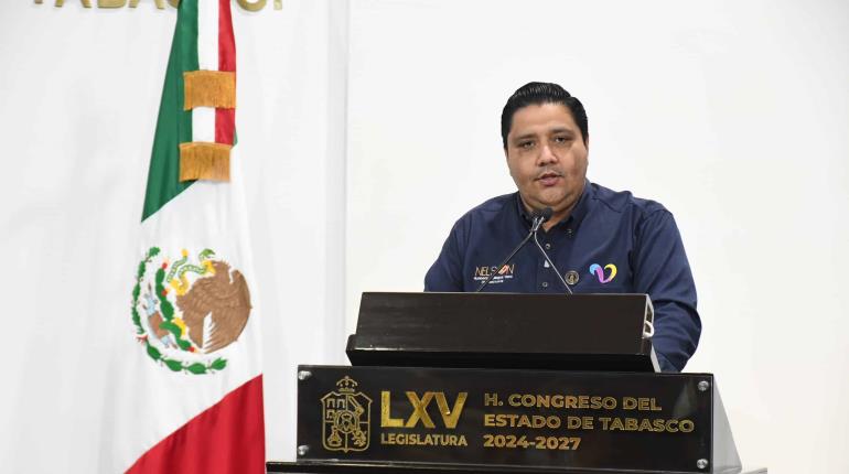 "Sería ir en contra de la democracia": PRD sobre desaparición de plurinominales