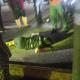 Atropellan a joven frente a mercado de Jalpa; conductor se da a la fuga