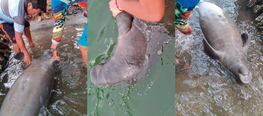 Hallan manat&iacute; muerto en Andr&eacute;s Garc&iacute;a, Para&iacute;so