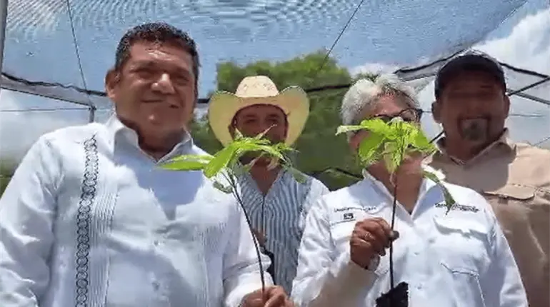 Tabasco será primer lugar nacional en reforestación con Sembrando Vida: Gobernador