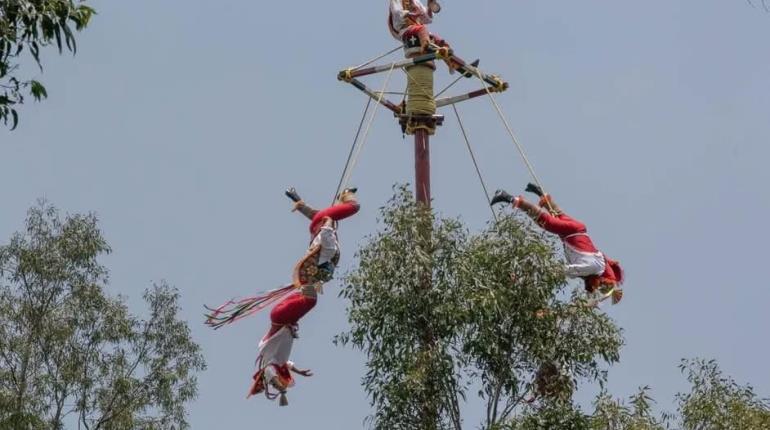 A partir de ahora PC deberá supervisar ritual de voladores de Papantla: Nahle