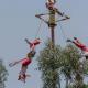 A partir de ahora PC deberá supervisar ritual de voladores de Papantla: Nahle
