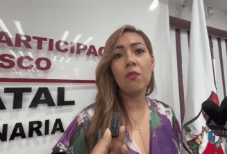 Ve IEPC complicado que una sola institución organice elecciones federales y estatales