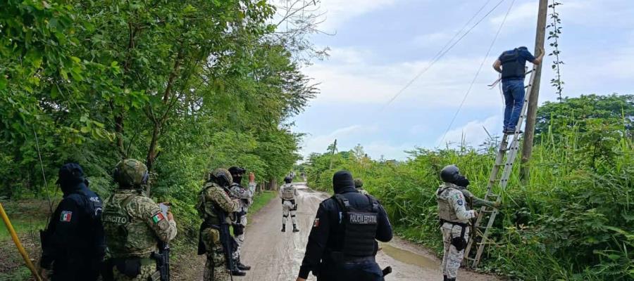 Desmantelan casi 100 cámaras clandestinas en 4 municipios de Tabasco Desmantelan casi 100 cámaras clandestinas en 4 municipios de Tabasco