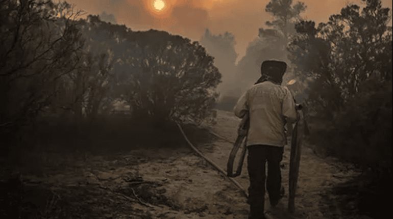 Envía México 101 combatientes y técnicos a Canadá para ayudar en el combate de incendios forestales