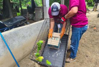 Vinculan a proceso a dos por caza y venta de fauna silvestre en Centro