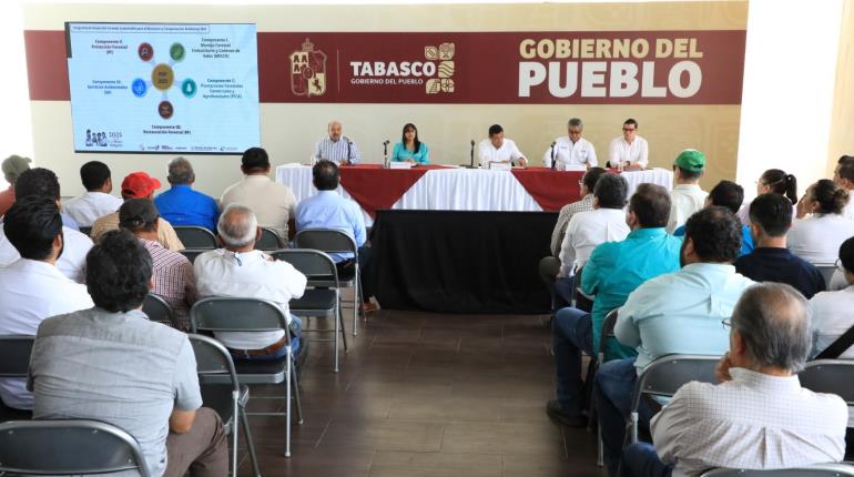Reinstalan Consejo Estatal Forestal; destinarán 50 mdp a proyectos y servicios ambientales en Tabasco