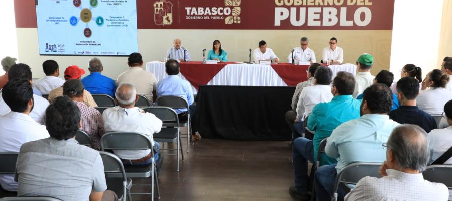 Reinstalan Consejo Estatal Forestal; destinarán 50 mdp a proyectos y servicios ambientales en Tabasco Reinstalan Consejo Estatal Forestal; destinarán 50 mdp a proyectos y servicios ambientales en Tabasco