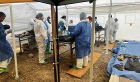 Crematorio de Chihuahua entregaba cenizas de animales en vez de restos humanos: Harfuch
